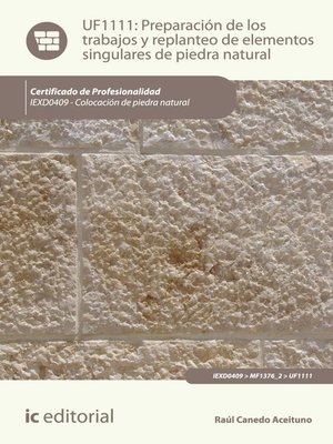 cover image of Preparación de los trabajos y replanteo de elementos singulares de piedra natural. IEXD0409
